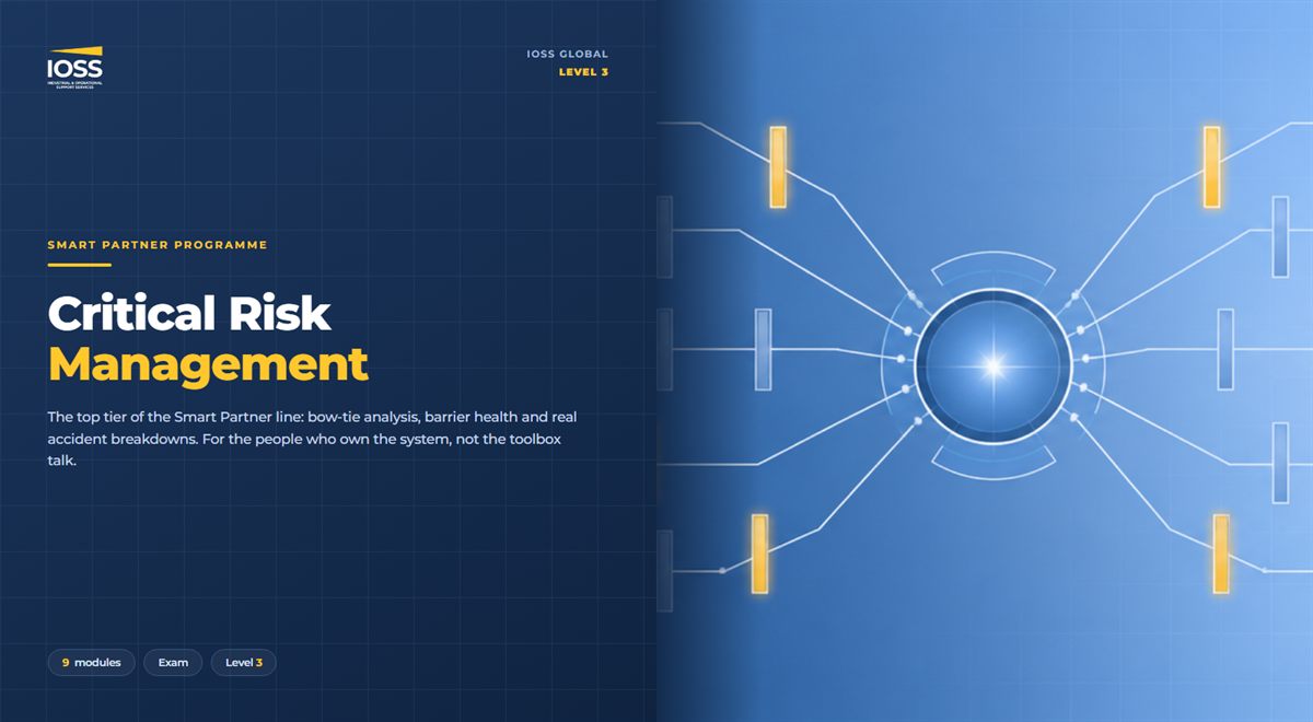 Critical risk management